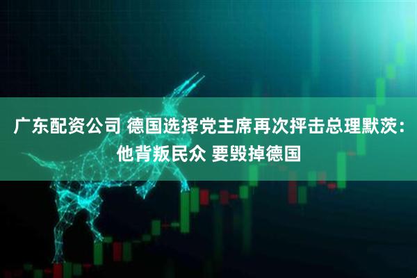 广东配资公司 德国选择党主席再次抨击总理默茨：他背叛民众 要毁掉德国