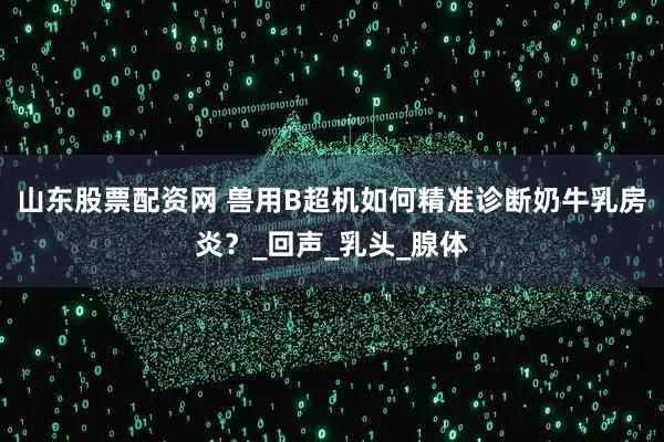 山东股票配资网 兽用B超机如何精准诊断奶牛乳房炎？_回声_乳头_腺体